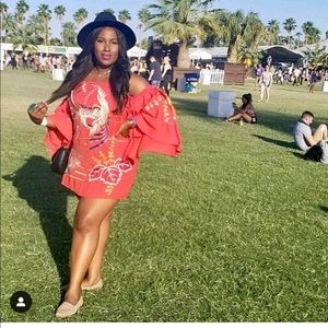 Asos Embroidered Mini Dress